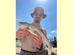 Namaycush 47 cm
gefangen am: 03.07.2022