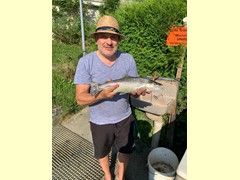 Seeforelle 46 cm
gefangen am: 24.07.2022