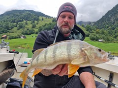 Egli 48 cm
gefangen am: 16.09.2022
