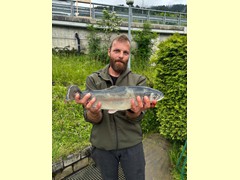 Regenbogen Forelle 52 cm
gefangen am: 02.06.2024