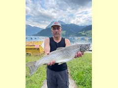 Seeforelle 68 cm
gefangen am: 27.06.2024