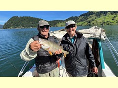 Egli  45 cm 
gefangen am: 06.09.2025