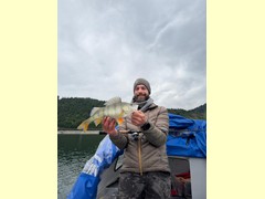 Egli 44 cm
gefangen am: 05.05.2026